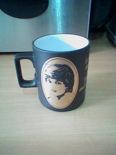 Charles and diana royal - and,